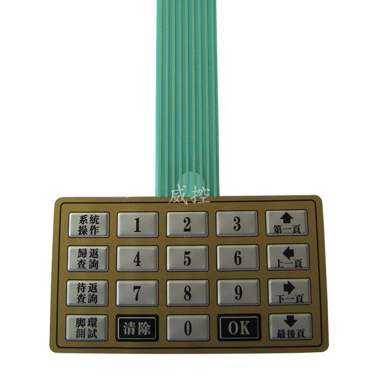 薄膜開(kāi)關(guān) (69)