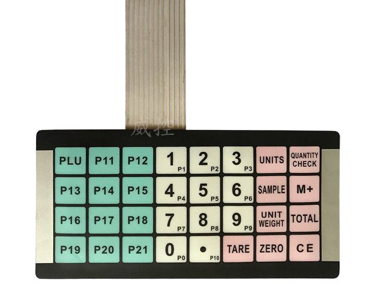 薄膜開(kāi)關(guān) (65)