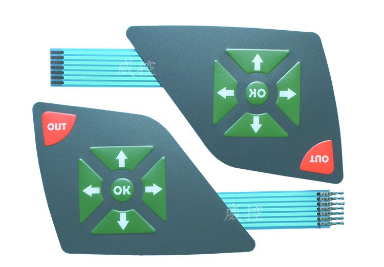 薄膜開(kāi)關(guān) (61)