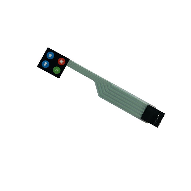 薄膜開(kāi)關(guān) (57)